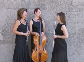 Del Lago Trio - String Quartet - Mission Viejo, CA - Hero Gallery 2