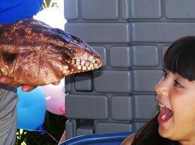 Pacific Animal Productions - Animal For A Party - Hesperia, CA - Hero Gallery 1