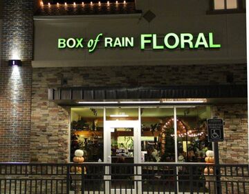 Box of Rain Floral - Florist - Lubbock, TX - Hero Main