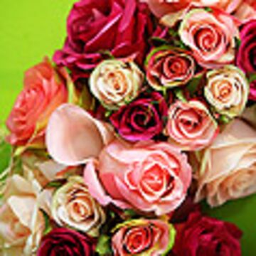 Best of Flowers - Florist - Lexington, KY - Hero Main