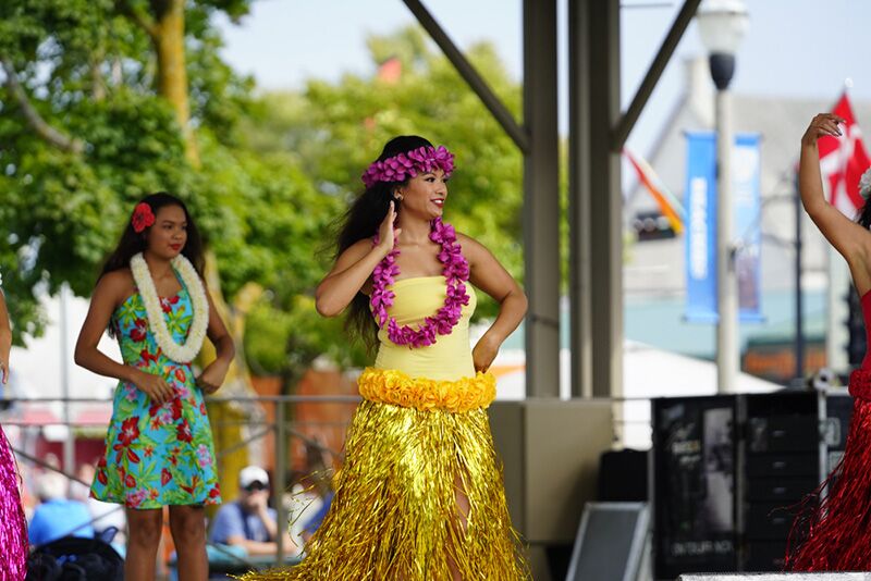 hula dancers for a pool party