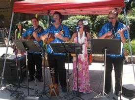 Tropical Sounds/ukulele Players & Hawaiian Band - Hawaiian Band - Arlington, VA - Hero Gallery 4