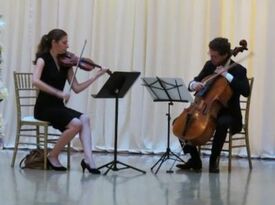 Wellington String Ensembles - String Quartet - Chicago, IL - Hero Gallery 1