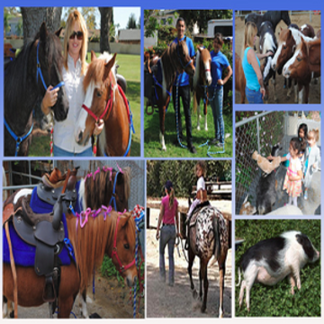 Abby's Party Ponies - Animal For A Party - Long Beach, CA - Hero Main
