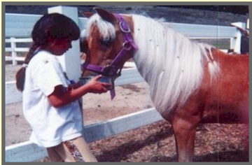 Friendly Pony Parties - Petting Zoo - San Francisco, CA - Hero Main
