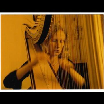Heather Donovan, harpist and pianist - Harpist - Maple Valley, WA - Hero Main