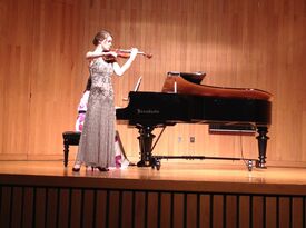 Susan Miller - Violinist - Chicago, IL - Hero Gallery 2