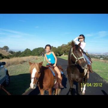 Ponies R Us - Pony Rides - Martinez, CA - Hero Main