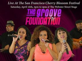 The Groove Foundation - Cover Band - San Jose, CA - Hero Gallery 4