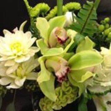 A Wild Orchid Florist - Florist - Arlington, TX - Hero Main