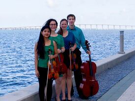 Biscayne String Quartet - String Quartet - Miami, FL - Hero Gallery 2