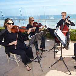 Santa Barbara String Quartet, profile image