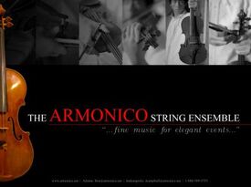 The Armonico String Ensemble - String Quartet - Atlanta, GA - Hero Gallery 1