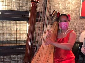 Nina Bogomas - Harpist - New York City, NY - Hero Gallery 1