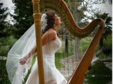 Lisa Fenwick, Harpist - Harpist - Ithaca, NY - Hero Main