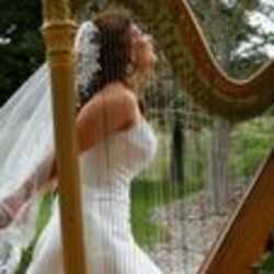 Lisa Fenwick, Harpist, profile image