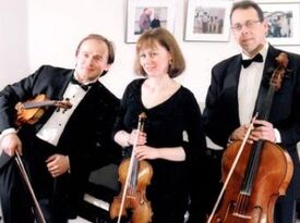 Campanella Ensemble - String Quartet - New York City, NY - Hero Gallery 3