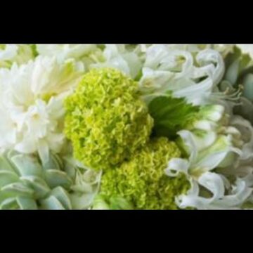 PJ's Flowers & Events - Florist - Phoenix, AZ - Hero Main