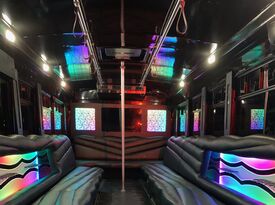 Adventure Party Bus - Party Bus - Ruskin, FL - Hero Gallery 2