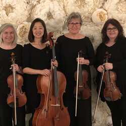 Camarota String Quartet, profile image