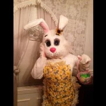 Mrs. Easter Bunny - Costumed Character - Dallas, TX - Hero Main