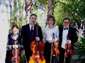 Scottsdale String Quartet - Classical Quartet - Scottsdale, AZ - Hero Gallery 1