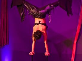 Aerial Revolution Entertainment - Circus Performer - San Diego, CA - Hero Gallery 1