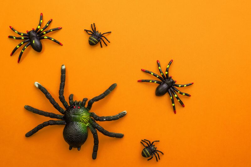 Halloween party ideas for kids - pin the spider on the web