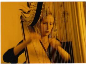 Heather Donovan, harpist and pianist - Harpist - Maple Valley, WA - Hero Gallery 1
