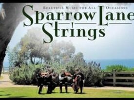 Sparrow Lane Strings - String Quartet - Beverly Hills, CA - Hero Gallery 2