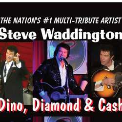 Steve Waddington "Dino, Diamond & Cash", profile image
