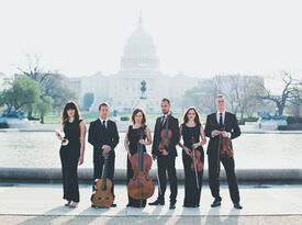 Washington Virtuosi - String Quartet - Washington, DC - Hero Gallery 1