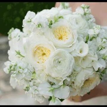 Bouquets of Austin - Florist - Austin, TX - Hero Main