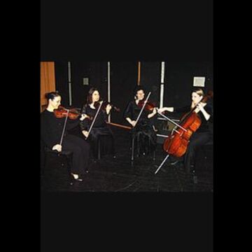 Silver Strings Chamber Players - String Quartet - Tipp City, OH - Hero Main
