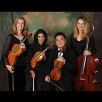 Amadeus String Ensemble - String Quartet - Atlanta, GA - Hero Main