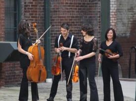 Piedmont Strings - Classical Quartet - Atlanta, GA - Hero Gallery 2