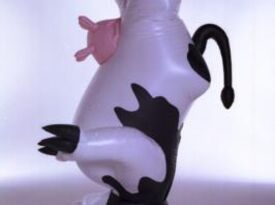 Breakdancing Cow OR Gecko Multicultural Dance Show - Costumed Character - Dania, FL - Hero Gallery 3