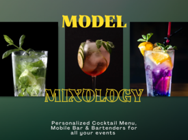 Model Mixology - Bartender - Alexandria, VA - Hero Gallery 4