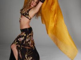 Samantha Fairuz - Belly Dancer - Milwaukee, WI - Hero Gallery 1