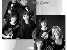 Dreams Come True Music - String Quartet - Richmond, TX - Hero Gallery 2