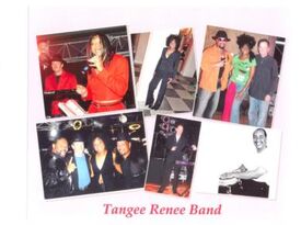 Tangee Renee & Club Visage Band - Variety Band - Jacksonville, FL - Hero Gallery 2