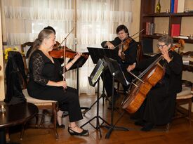 Hudson String Quartet - String Quartet - Albany, NY - Hero Gallery 1