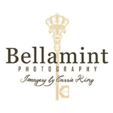 Bellamint Photography - Photographer - Colorado Springs, CO - Hero Main