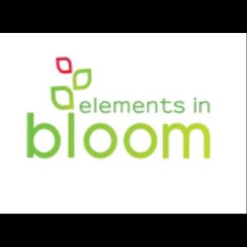 Elements In Bloom - Florist - Seattle, WA - Hero Main