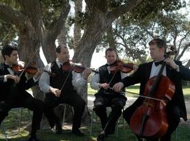 Sparrow Lane Strings - String Quartet - Beverly Hills, CA - Hero Gallery 4