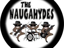 Naugahydes - Cover Band - Scottsdale, AZ - Hero Gallery 1