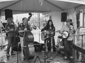 Magnolia Street String Band - Bluegrass Band - Highland Park, NJ - Hero Gallery 4