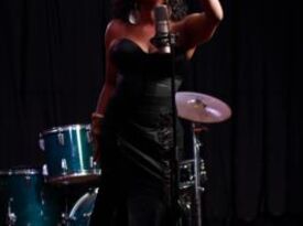 "THE SONGSTRESS" NANETTE FRANK - Jazz Singer - Chicago, IL - Hero Gallery 1