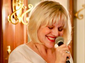 Linda Solotaire, Chanteuse - Jazz Singer - Chicago, IL - Hero Gallery 3