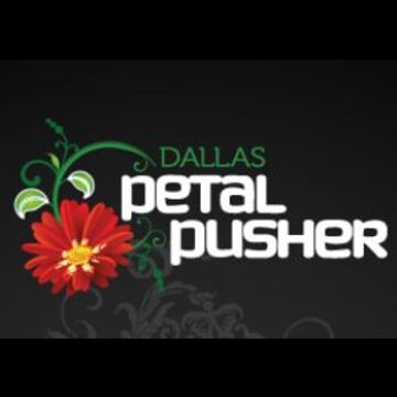Dallas Petal Pusher - Florist - Dallas, TX - Hero Main